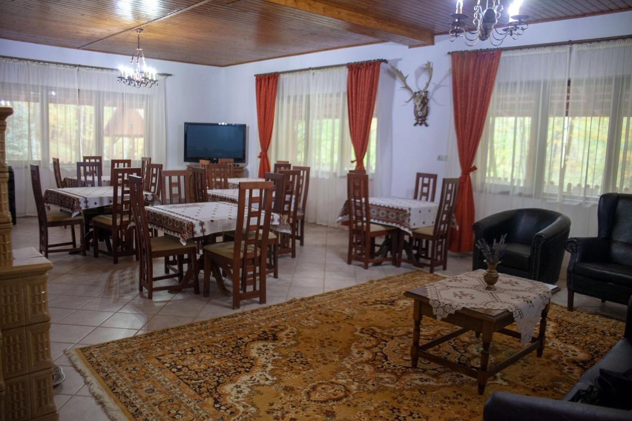 Pensiunea Valea Gepisului Grosi  Esterno foto